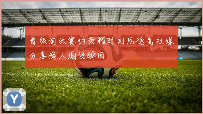 晋级淘汰赛的荣耀时刻厄德高社媒分享感人谢场瞬间